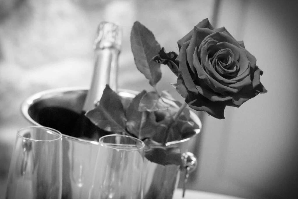 Gite Love Dream - Le Gite Romantique Ger  Eksteriør bilde